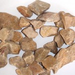 イエローチップ