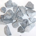 ブラックチップ