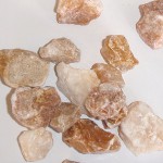 ブラウンチップ